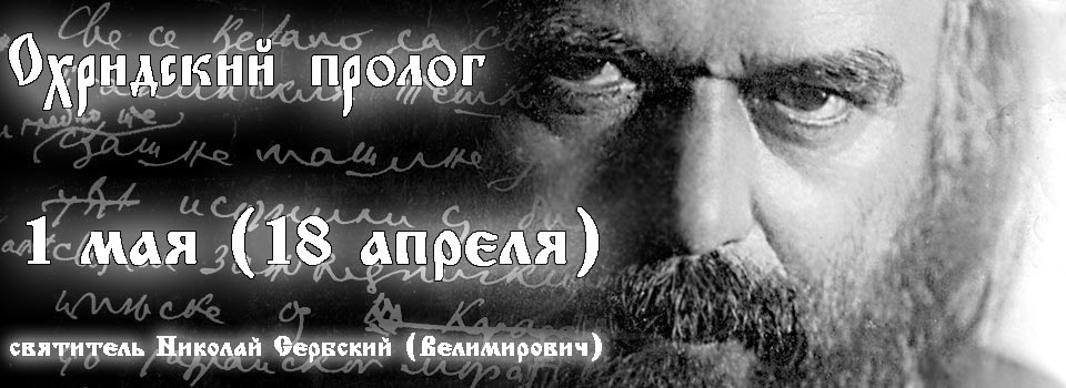 охридский пролог святитель Николай Сербский